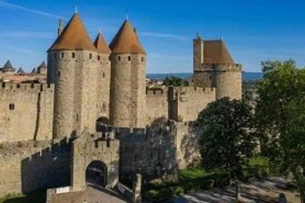 Spacieux appartement au pied de la cité médiévale Carcassonne Extérieur photo